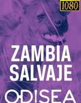 zambia salvaje odisea capitulos 1 al 7 torrent descargar o ver serie online 8 zambia salvaje odisea capitulos 1 al 7 torrent descargar o ver serie online 8