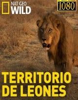 territorio de leones capitulos 1 al 3 torrent descargar o ver serie online 4