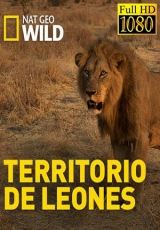 territorio de leones capitulos 1 al 3 torrent descargar o ver serie online 1