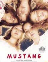mustang torrent descargar o ver pelicula online 2