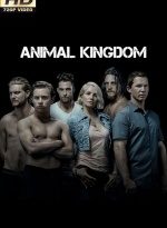 serie animal kingdom x6 torrent descargar o ver serie online 8