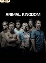 serie animal kingdom x6 torrent descargar o ver serie online 1