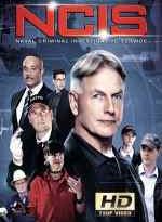 navy investigacion criminal 15×23 torrent descargar o ver serie online 2