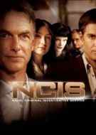 navy investigacion criminal 15×23 torrent descargar o ver serie online 2