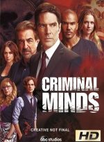 mentes criminales 13×21 torrent descargar o ver serie online 12