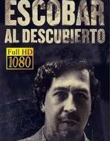 escobar al descubierto capitulos 1 al 2 torrent descargar o ver serie online 9 escobar al descubierto capitulos 1 al 2 torrent descargar o ver serie online 9