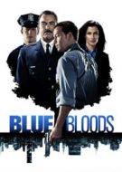 blue bloods 8×10 torrent descargar o ver serie online 6
