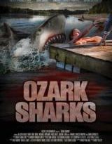 summer shark attack torrent descargar o ver pelicula online 8