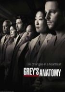 anatomia de grey 14×18 torrent descargar o ver serie online 2