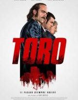 toro torrent descargar o ver pelicula online 2