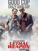 arma letal 2×13 torrent descargar o ver serie online 2