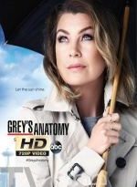 anatomia de grey 14×9 torrent descargar o ver serie online 2