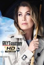 anatomia de grey 14×9 torrent descargar o ver serie online 2