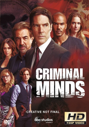 mentes criminales 13×13 torrent descargar o ver serie online 1