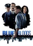 blue bloods 8×11 torrent descargar o ver serie online 1