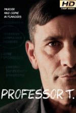 profesor t 2×13 torrent descargar o ver serie online 2