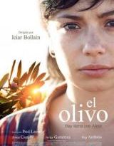 el olivo torrent descargar o ver pelicula online 2