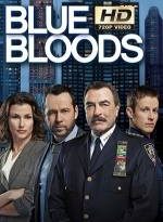 blue bloods 8×2 torrent descargar o ver serie online 2