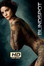 blindspot 3×8 torrent descargar o ver serie online 2