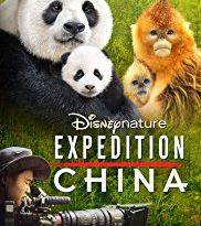 expedition china torrent descargar o ver pelicula online 2