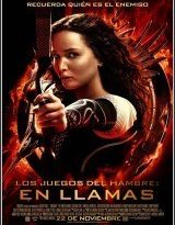 los juegos del hambre en llamas torrent descargar o ver pelicula online 2