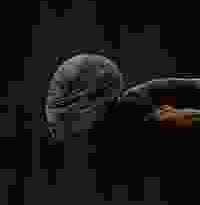 maus torrent descargar o ver pelicula online 2