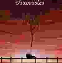 psiconautas, los niños olvidados torrent descargar o ver pelicula online 11 psiconautas, los niños olvidados torrent descargar o ver pelicula online 11