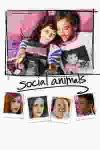 social animals torrent descargar o ver pelicula online 1
