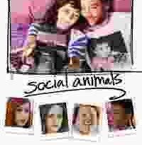social animals torrent descargar o ver pelicula online 2