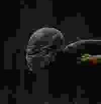 the maus torrent descargar o ver pelicula online 5