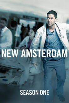new amsterdam 1×10 torrent descargar o ver serie online 1 new amsterdam 1×10 torrent descargar o ver serie online 1