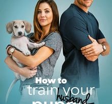 how to train your husband torrent descargar o ver pelicula online 2