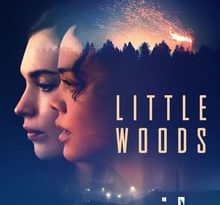 little woods torrent descargar o ver pelicula online 1