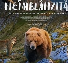 untamed romania torrent descargar o ver pelicula online 11