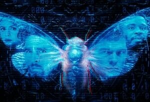 dark web: cicada 3301 torrent descargar o ver pelicula online 7