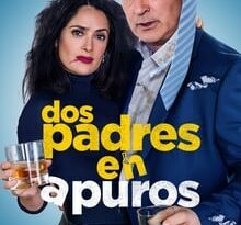dos padres en apuros torrent descargar o ver pelicula online 4