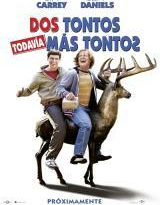 dos tontos todavia mas tontos torrent descargar o ver pelicula online 6