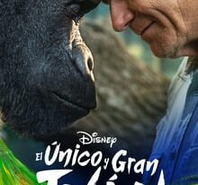 el magnífico iván torrent descargar o ver pelicula online 4