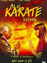 el nuevo karate kid torrent descargar o ver pelicula online 9