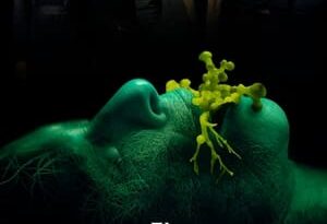 el privilegio torrent descargar o ver pelicula online 2