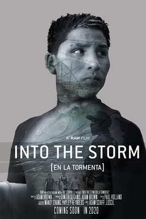 en la tormenta torrent descargar o ver pelicula online 2