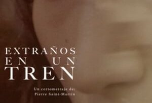 extraños en un tren torrent descargar o ver pelicula online 2