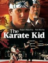 karate kid torrent descargar o ver pelicula online 12
