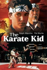 karate kid torrent descargar o ver pelicula online 1