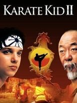 karate kid ii, la historia continúa torrent descargar o ver pelicula online 5