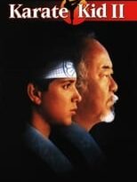 karate kid ii: la historia continúa torrent descargar o ver pelicula online 11