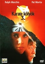 karate kid iii. el desafío final torrent descargar o ver pelicula online 1