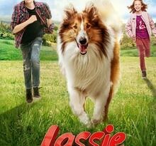 lassie come home torrent descargar o ver pelicula online 9