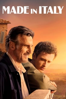 made in italy torrent descargar o ver pelicula online 1