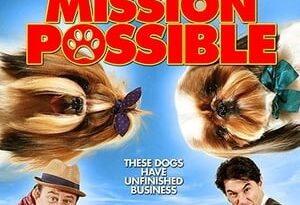 mission possible torrent descargar o ver pelicula online 9